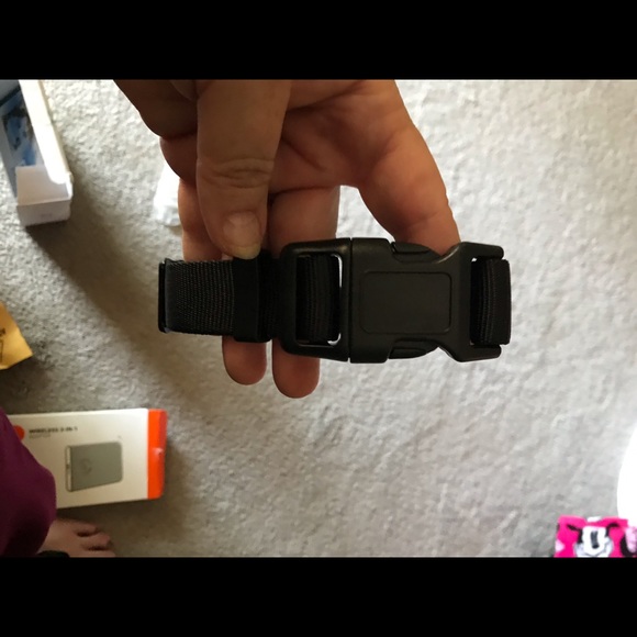 New Dog collar without tags - Picture 2 of 2